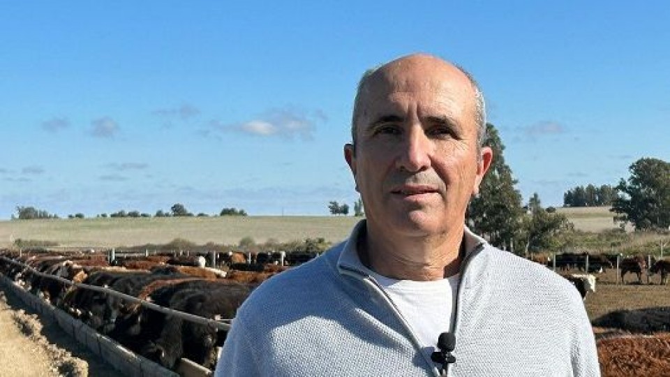 Néstor Britos: la importancia de la diversificación y el énfasis en los ‘‘nuevos desafíos’’ —  Agricultura — Dinámica Rural | El Espectador 810