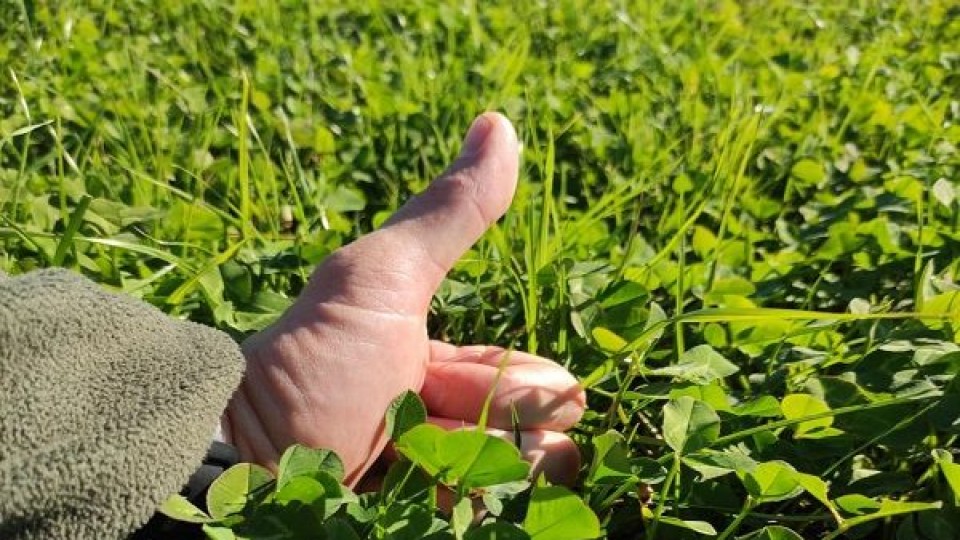 Armand Ugón: ''trabajar con más comida, para que los sistemas sean más resilientes'' —  Mercados — Dinámica Rural | El Espectador 810