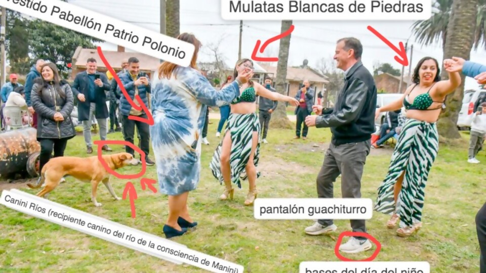 Darwin comentó el viral de Manini e Irene bailando —  Darwin concentrado — No Toquen Nada | El Espectador 810