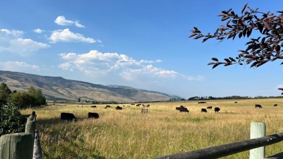 Lucía Bauer: la experiencia vivida al iniciar la maestría CREATE —  Agricultura — Dinámica Rural | El Espectador 810