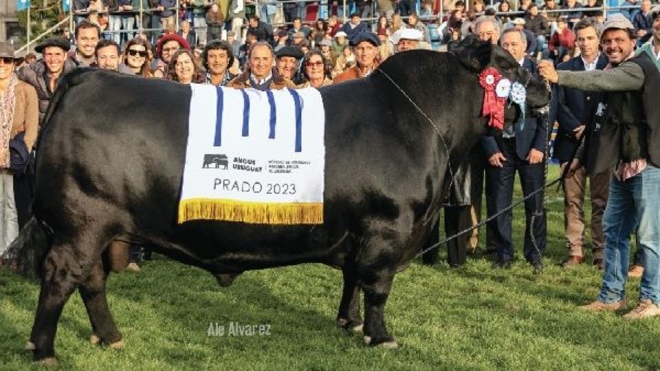 Remate productivo de cabañas El Puesto y Santa Graciana —  Zafra — Dinámica Rural | El Espectador 810