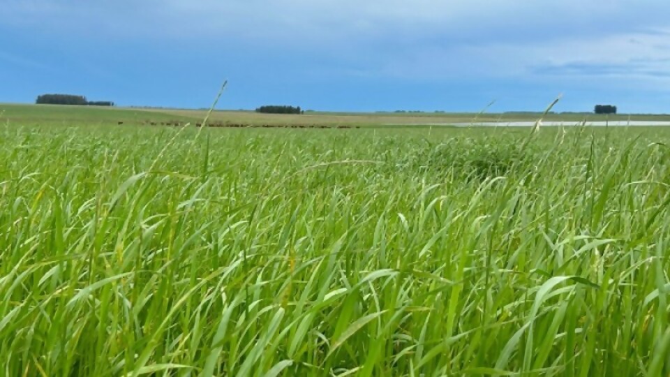 José Serra: lunes y martes con temperaturas muy por encima de la media normal —  Clima — Dinámica Rural | El Espectador 810