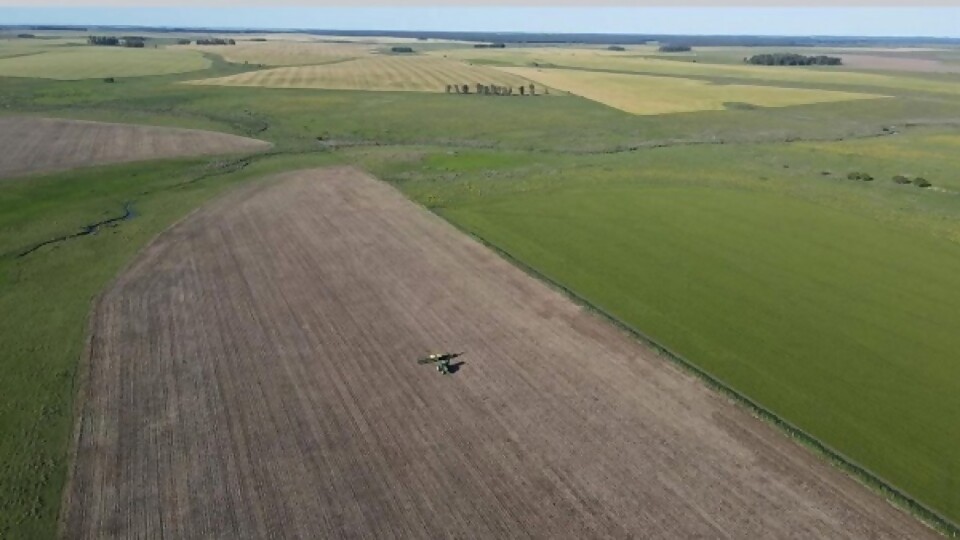 Bidegain: un trimestre con precipitaciones cercanas a los valores normales —  Clima — Dinámica Rural | El Espectador 810