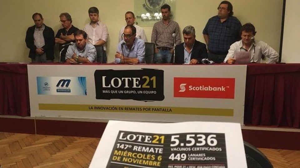 Lote 21: Mientras se afirma la primavera, el consorcio con 6.000 vacunos realizará su remate 147 el 06/11 — Ganadería — Dinámica Rural | El Espectador 810