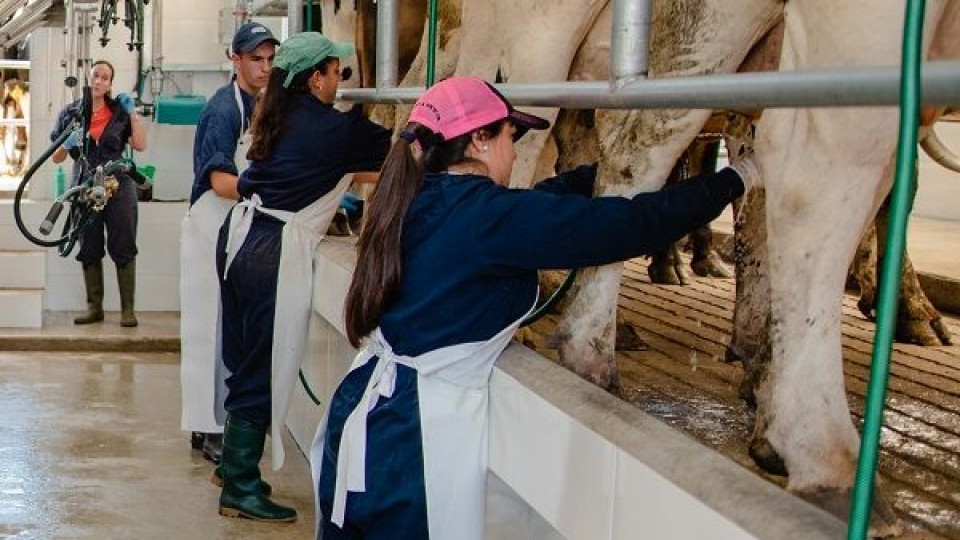 UTEC, formación terciaria con 'nivel superior' —  Economía — Dinámica Rural | El Espectador 810