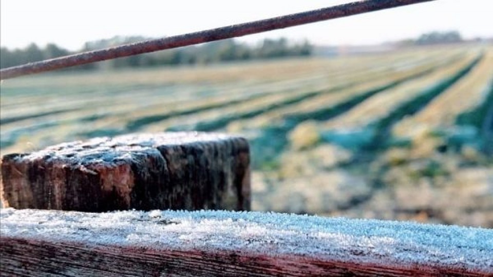 Seguridad Rural, tema excluyente para el próximo Gobierno —  Economía — Dinámica Rural | El Espectador 810