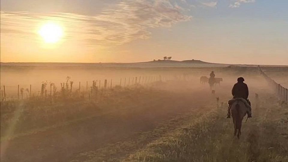 'Apoyo a productores y acceso a la tierra' serán los ejes del Ministro de Ganadería designado —  Economía — Dinámica Rural | El Espectador 810