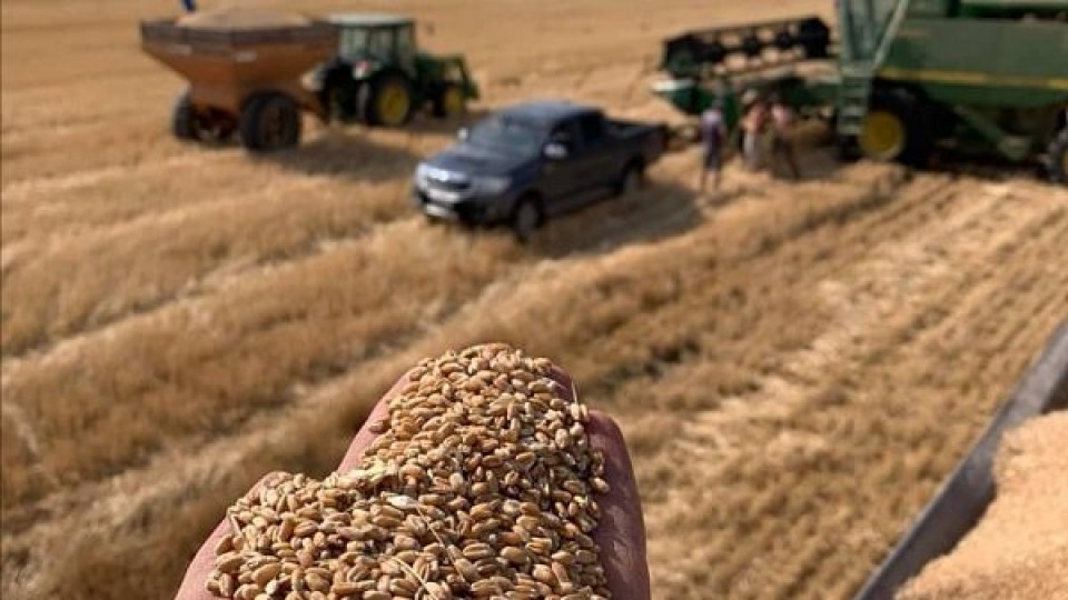 CUSA 'corrigió a la baja hasta un 3% los precios sugeridos' — Agricultura — Dinámica Rural | El Espectador 810