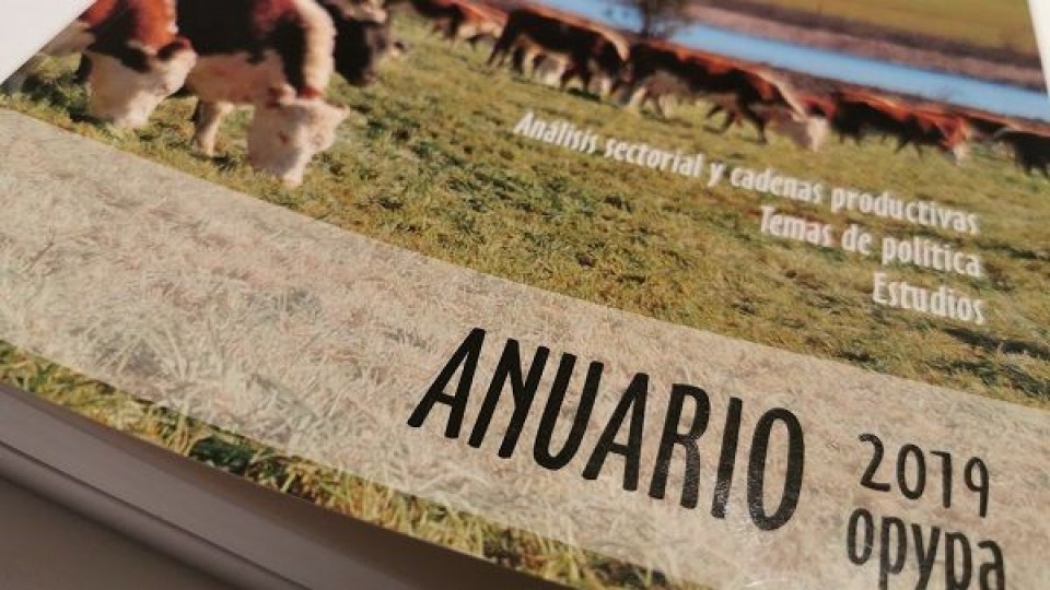 Según OPYPA, el PBI agropecuario cayó 3,3% durante 2019 —  Economía — Dinámica Rural | El Espectador 810