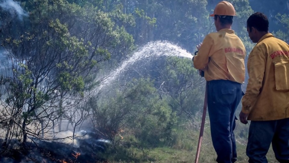 Carencias de Bomberos que “quedan en evidencia” tras incendios forestales —  Informes — No Toquen Nada | El Espectador 810