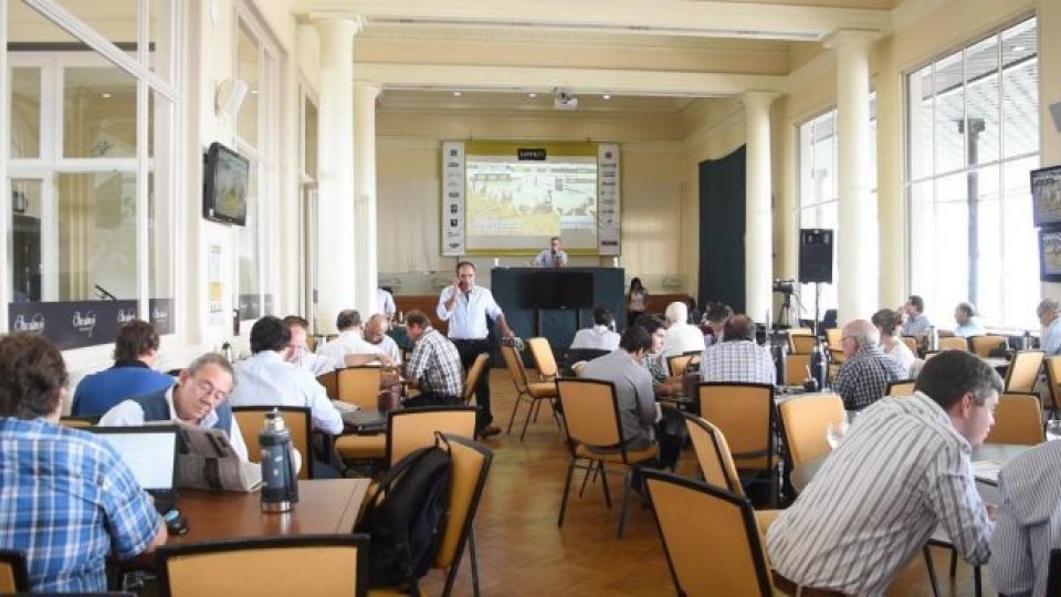 Lote 21, desde las 9 de la mañana, pone en el mercado 5.517 vacunos certificados — Ganadería — Dinámica Rural | El Espectador 810