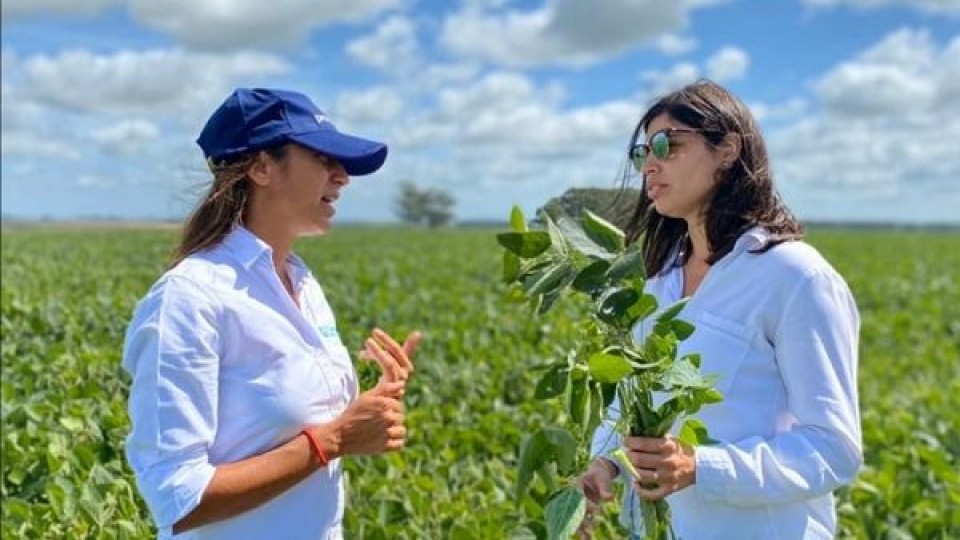 Horas cruciales para avanzar en una cosecha que viene muy atrasada —  Sanidad — Dinámica Rural | El Espectador 810