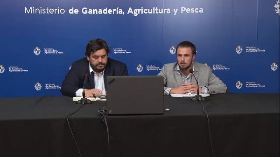 Emergencia Agropecuaria: El MGAP aprobó, hasta el momento, 377 solicitudes de créditos —  Economía — Dinámica Rural | El Espectador 810