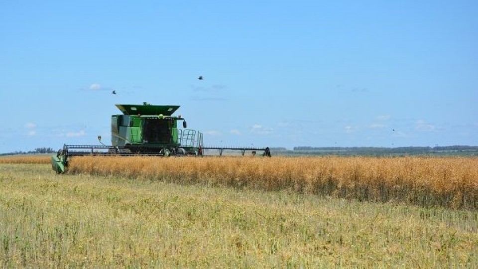 Davy Dufour: hay bastante rechazo en cebada —  Agricultura — Dinámica Rural | El Espectador 810