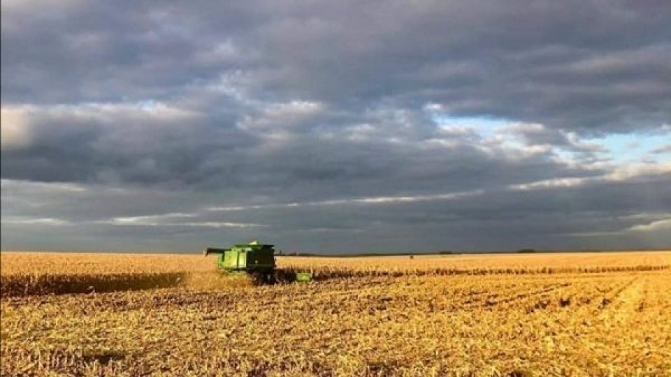 Son esperables escasas lluvias y heladas agrometeorológicas para la actual semana —  Audios — Dinámica Rural | El Espectador 810