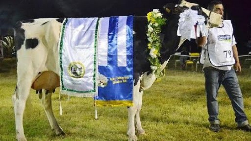 'Genética uruguaya para tambos uruguayos' —  Lechería — Dinámica Rural | El Espectador 810