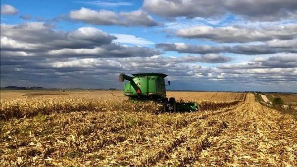 Soja: 'Vemos un negocio que a pesar de las dificultades es atractivo' — Agricultura — Dinámica Rural | El Espectador 810