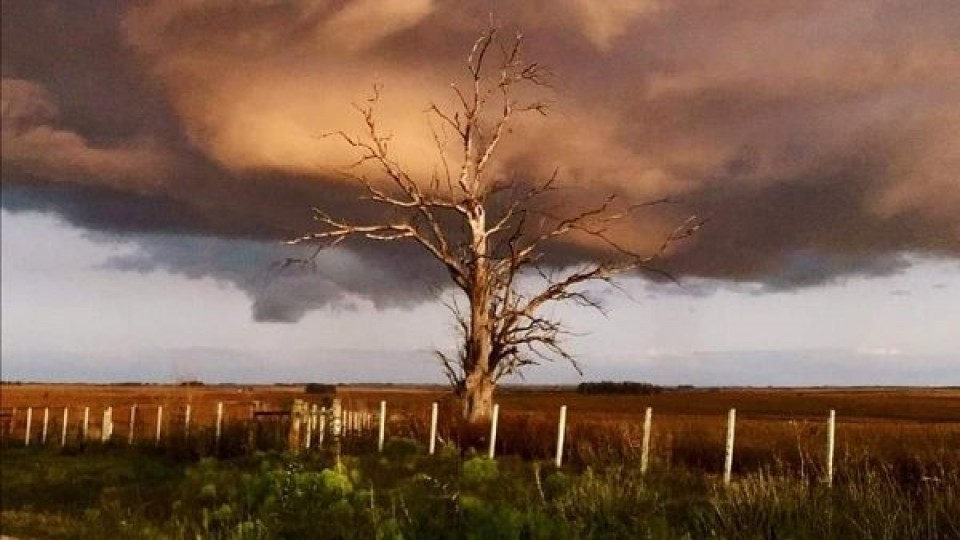 M. Bidegain: 'El acumulado de precipitaciones puede estar por encima de los 100 milímetros' —  Audios — Dinámica Rural | El Espectador 810