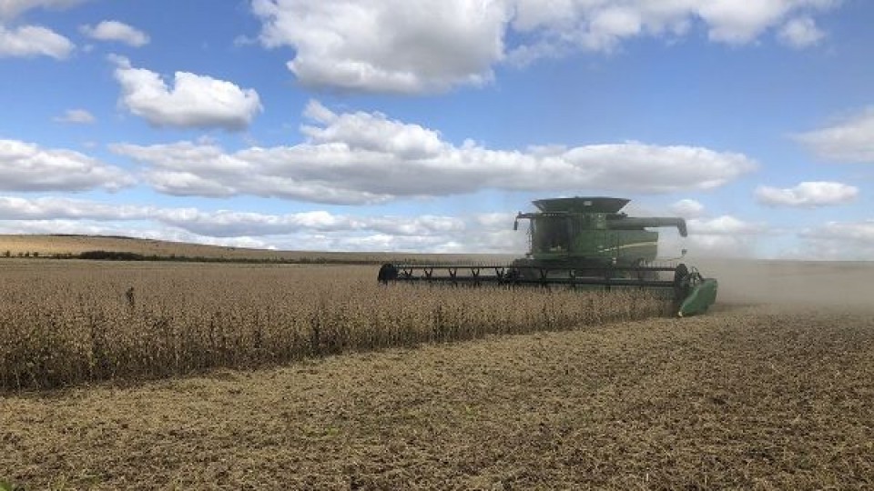 Soja: ADP cerraría la zafra de soja con 2200 kg por hectárea en promedio — Agricultura — Dinámica Rural | El Espectador 810