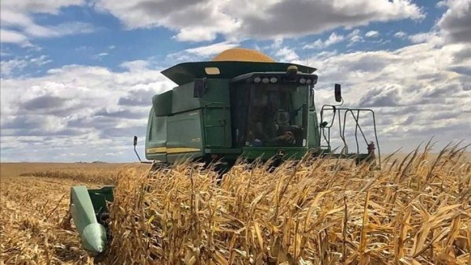 A full: Atrás quedó la cosecha de verano, pero la siembra de invierno avanza a buen ritmo —  Agricultura — Dinámica Rural | El Espectador 810