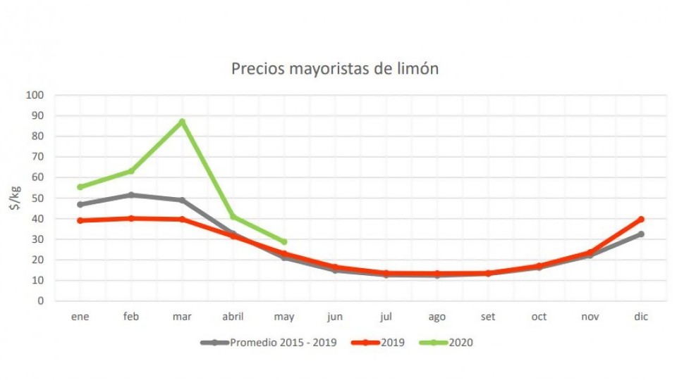 ¿Pequeña corrida de vitamina C por el Covid 19? —  Informes — No Toquen Nada | El Espectador 810