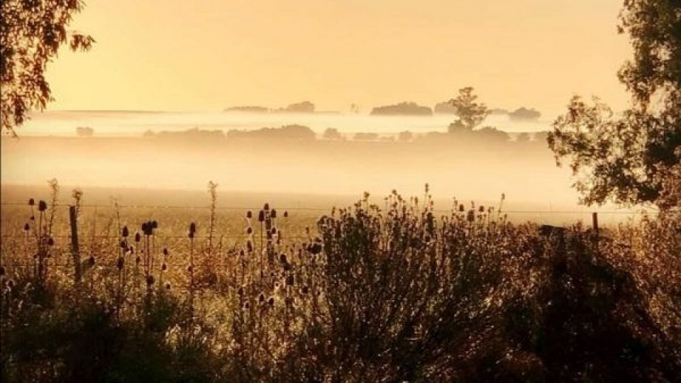 Proyección: Semana sin lluvias, pero con bajas temperaturas y heladas —  Audios — Dinámica Rural | El Espectador 810