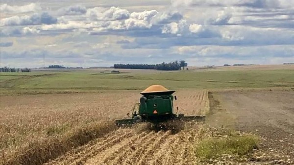 E. Uribe: En agricultura, más allá del clima, 'la rotación es clave en el resultado' —  Agricultura — Dinámica Rural | El Espectador 810