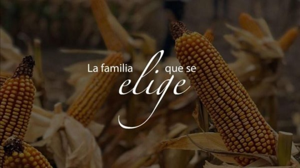 Alianza estratégica: ADP agrega un nuevo producto a su portafolio de cultivos de verano —  Agricultura — Dinámica Rural | El Espectador 810