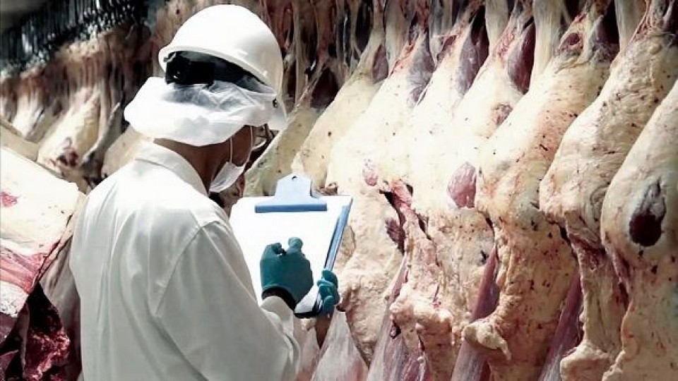 Exportaciones cárnicas: En el primer semestre los ingresos cayeron un 18%, siendo el principal destino China, pero con una reducción del 33% —  Economía — Dinámica Rural | El Espectador 810