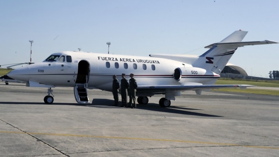 Darwin dice que no se nos da el tema de los aviones y elogia la gran semana del inspector Larry —  Columna de Darwin — No Toquen Nada | El Espectador 810