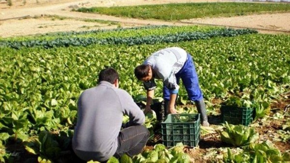 F. López: 'El Instituto Nacional de la Granja debe contemplar las necesidades de la producción Familiar' —  Granja — Dinámica Rural | El Espectador 810