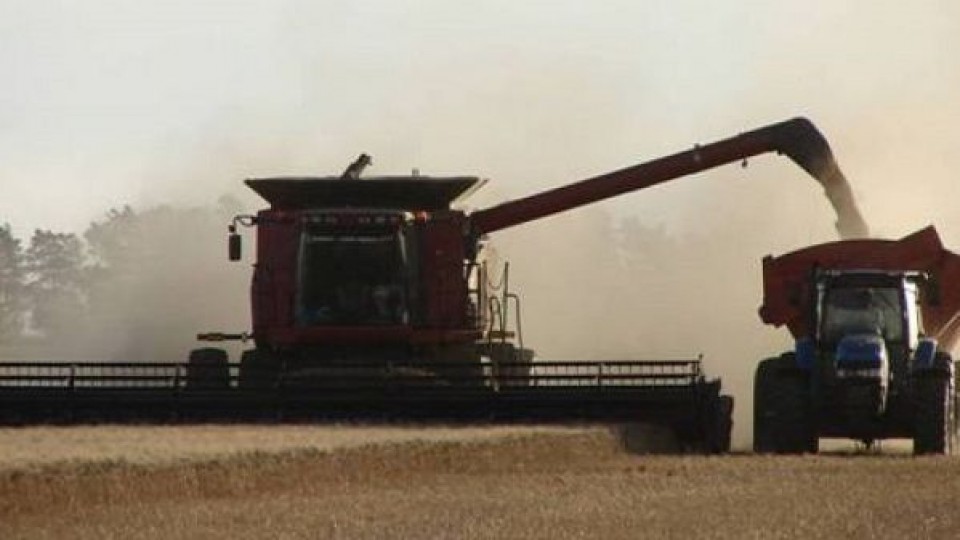 Zafra 20/21: CUSA, con leve corrección de precios sugeridos —  Agricultura — Dinámica Rural | El Espectador 810