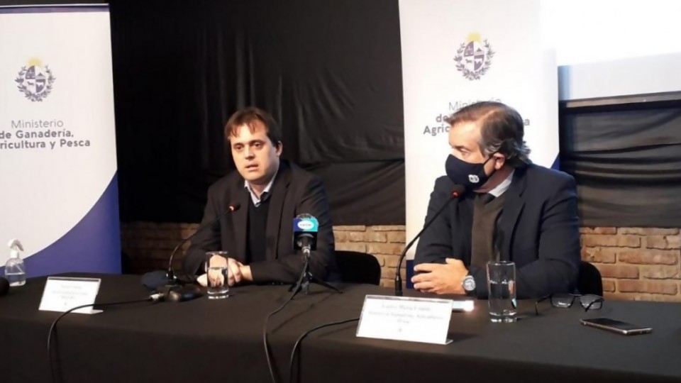 Chiesa, las firmas, las explicaciones y las dudas —  Informes — No Toquen Nada | El Espectador 810