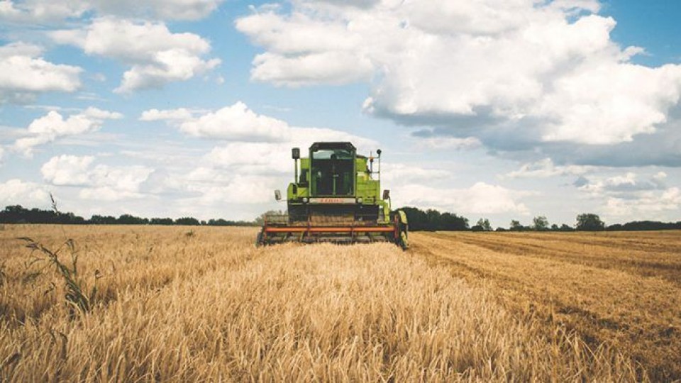 Arroz: El precio definitivo para el cereal es de 11.03 dólares por bolsa de 50kgs, un 22% más que la zafra anterior —  Agricultura — Dinámica Rural | El Espectador 810