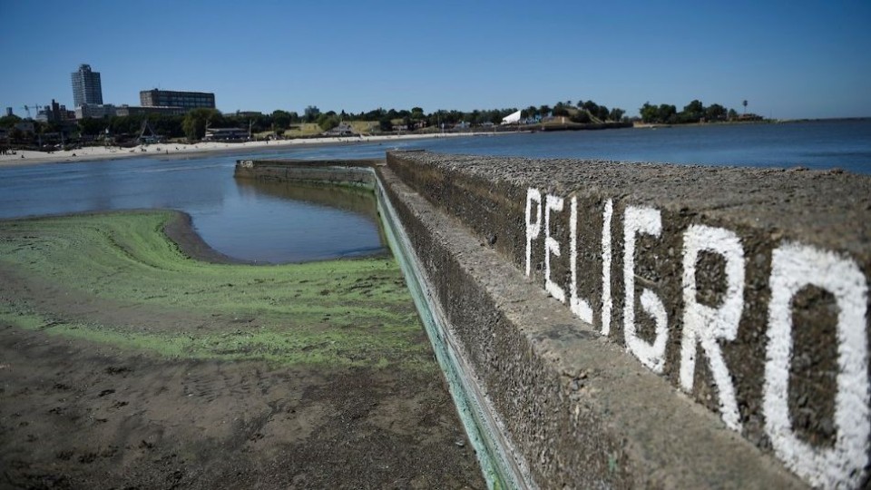 ¿Cuál es el pronóstico de cianobacterias para este verano? —  Entrevistas — Primera Mañana | El Espectador 810