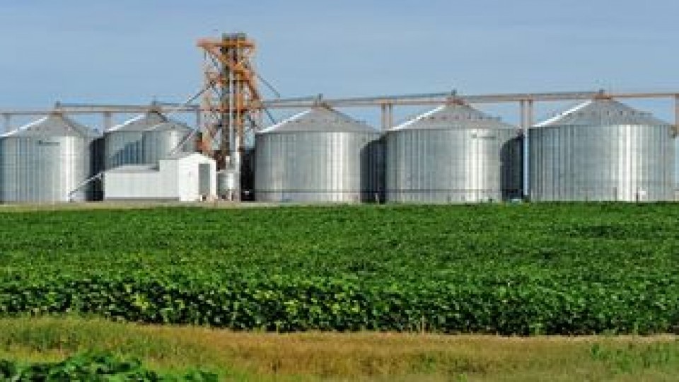 Las lluvias ocurrieron en el momento justo para la siembra de soja de segunda —  Agricultura — Dinámica Rural | El Espectador 810