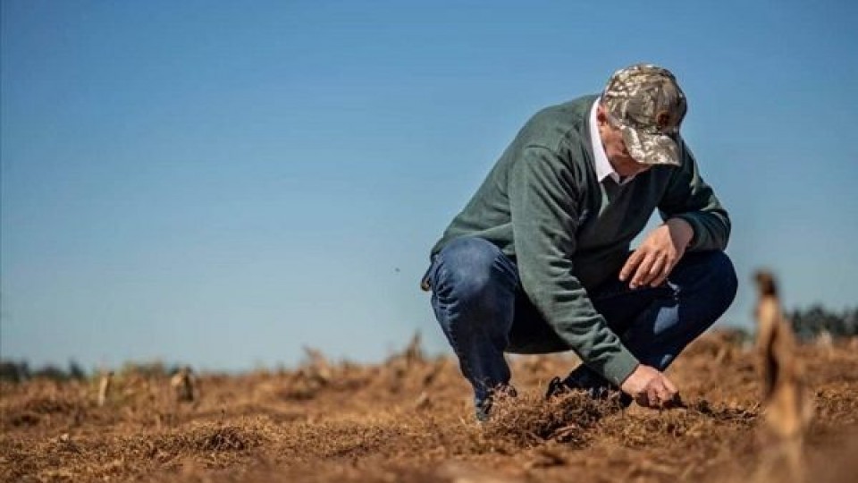 Planificar, investigar y adaptarse a los cambios, son clave para ADP —  Agricultura — Dinámica Rural | El Espectador 810