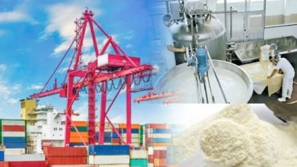 El 2020 tuvo una recuperación del 6% en exportaciones lácteas, y Argelia fue el principal destino —  Economía — Dinámica Rural | El Espectador 810
