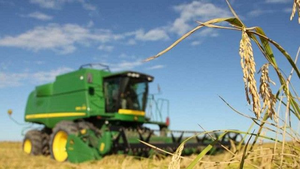 Para ACA ''es indispensable mejorar la competitividad'' —  Agricultura — Dinámica Rural | El Espectador 810