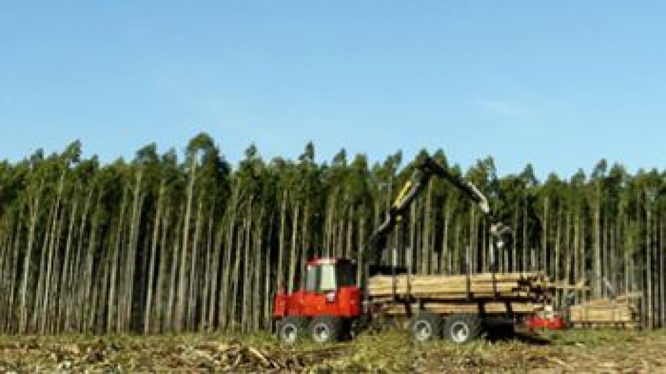 Federación Rural con varios temas en agenda, pero será prioridad el Forestal —  gremiales — Dinámica Rural | El Espectador 810