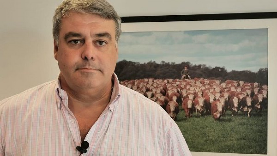 Haciendas: Precios al alza, mientras que la faena es un 43% superior en vacunos — Mercados — Dinámica Rural | El Espectador 810