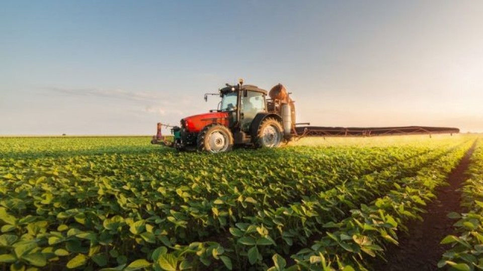 A. Messa: ''El año agrícola ha tenido un aumento importante en la demanda por las labores en las chacras'' —  Agricultura — Dinámica Rural | El Espectador 810