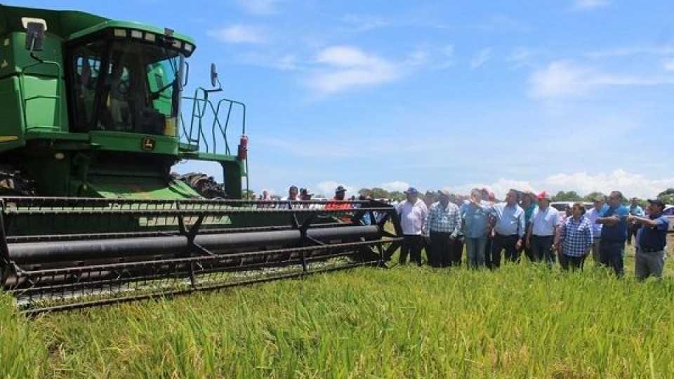 A. Lago: ''En un año diferente, confiamos en el sector arrocero'' —  Agricultura — Dinámica Rural | El Espectador 810