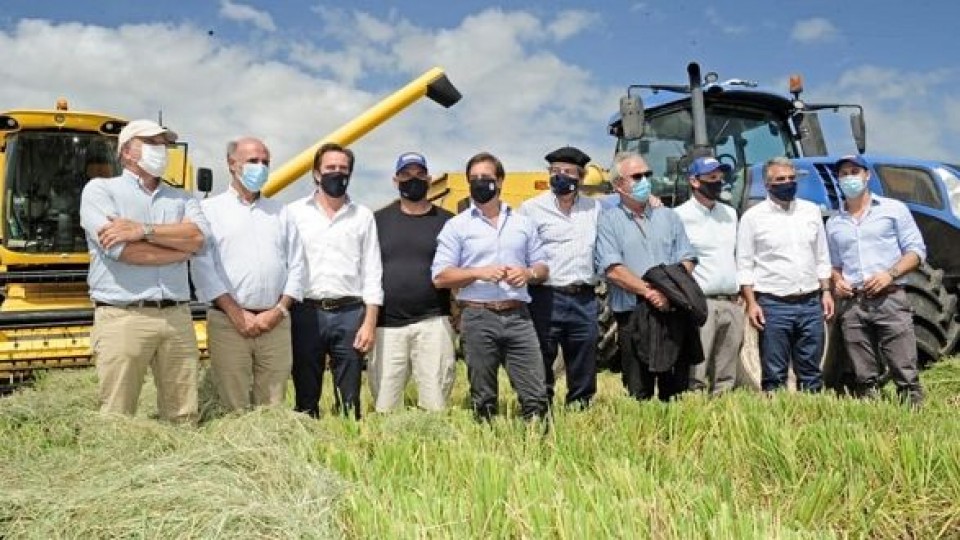 Quedó constituida la cosecha de arroz ''con mejores perspectivas de competitividad'' —  Agricultura — Dinámica Rural | El Espectador 810