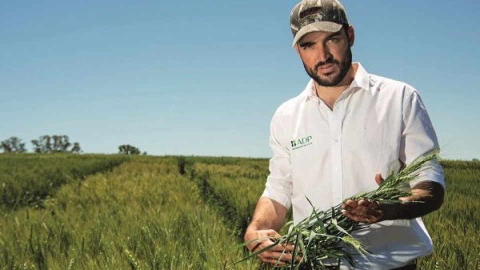 En soja ''hay un abanico de situaciones a nivel de chacras, tanto como los registros de  lluvias'' —  Agricultura — Dinámica Rural | El Espectador 810