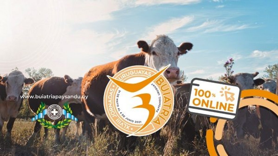Las jornadas de Buiatría serán 100% online —  Ganadería — Dinámica Rural | El Espectador 810